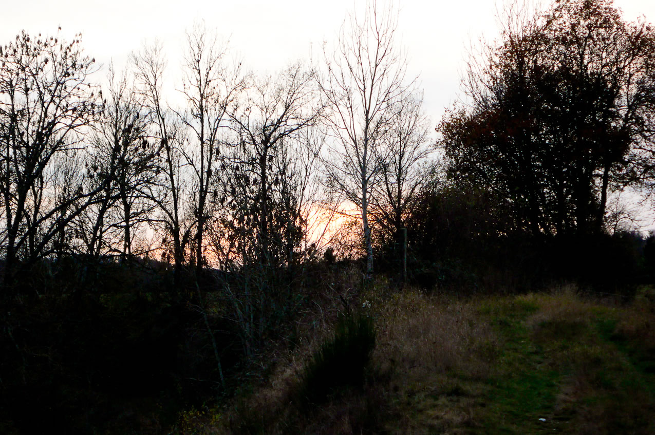 Images